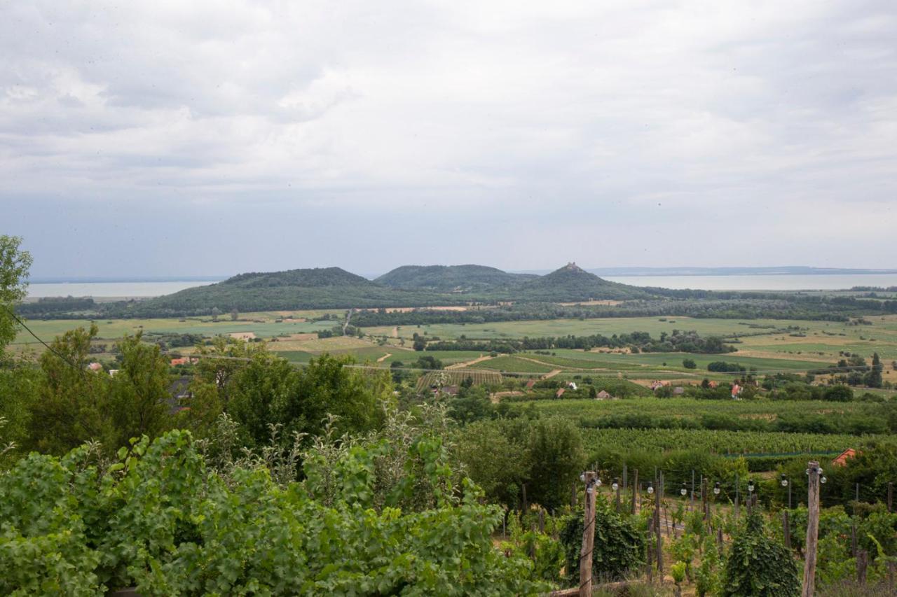 Vinonima Vendégház Hegymagas Kültér fotó